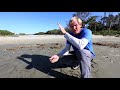 Exploring Barrier Ecology and Geology on Capers Island