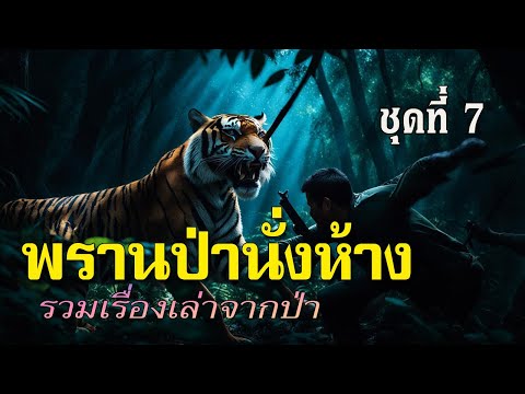 รวมเรื่อง พรานป่านั่งห้าง ชุดที่ 7