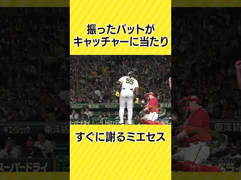 【すぐ謝る！】ミエセス、振ったバットがキャッチャーに当たり即謝罪#阪神タイガース #虎バンチャンネル #プロ野球 #ミエセス #shorts #short