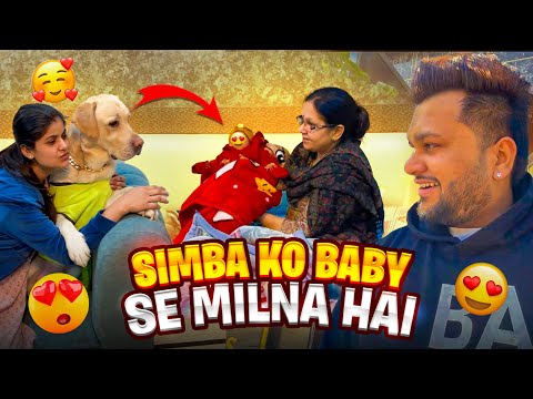 Simba Ko Chote Baby Se Milna 😍 #vlog #labrador