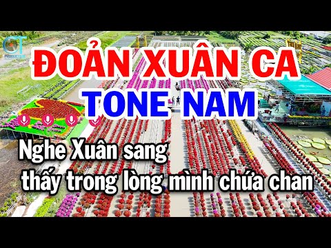 Karaoke Đoản Xuân Ca Tone Nam ( C ) Nhạc Tết Mới Nhất | Karaoke Tuấn Kiệt