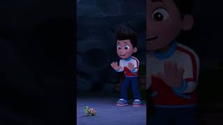 Patrulha Canina | Aprenda a ajudar os filhotes de resgate da Patrulha Canina! 🐢 #Shorts