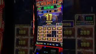 Who likes the Buffalo BONUS? #shorts #luck #gamble #casino #jackpot #casinofun #slotmachine