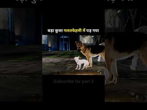 The big dog fell in misunderstanding #shortvideo