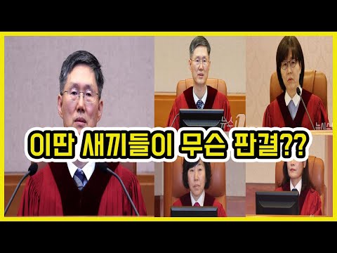 헌법재판관 수준 ㄷㄷ | 도람뿌