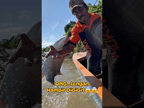 GILA!!! Lengan hampir putuszz DiGiGiT monster BABON!!!😱😱😱 #mancing #fishing #babon #predator