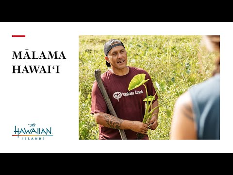 Rick Barboza on Sustainable Farming: Mālama Hawai'i
