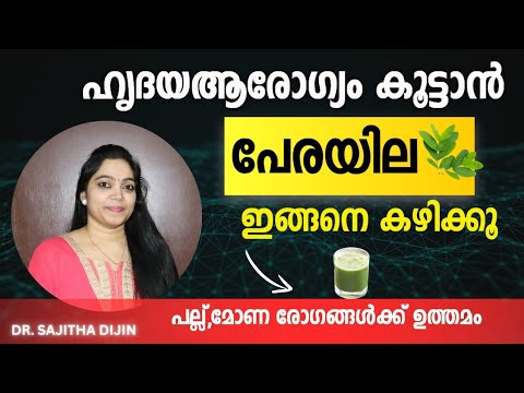 ഹൃദയാരോഗ്യം കൂട്ടാൻ പേരയില ഇങ്ങനെ കഴിക്കൂ#fitness#food#trending#ayurcharya#