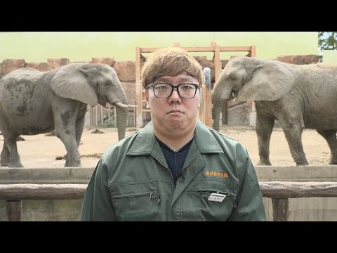 急遽 動物園でバイトすることになりました