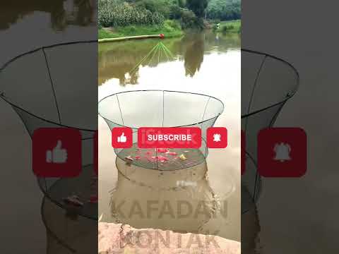 Son Balık Avcısı 🥹🐟