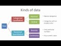 Types of Data in Statistics