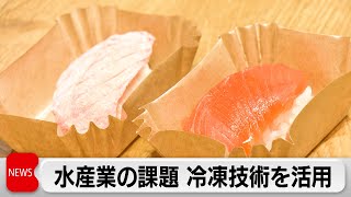 鮮度を逃さず急速冷凍　最新の冷凍技術で水産業界の課題解決へ