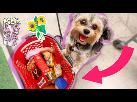 COMPRO TODO LO QUE GOLIAT QUIERE LLEVARLE A SUS 4 HIJOS Y A DALILA