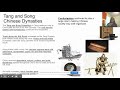 Tang and Song Dynasties Overview