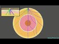 Exploring Earth's Interior Through Earthquakes