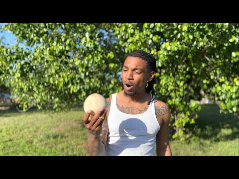 How does coconuts 🥥 have water in it ?