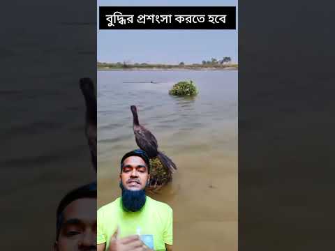 পাখি ধরার কৌশল