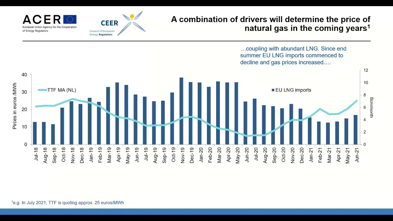 ACER-CEER Webinar presenting the Gas Volume of the Annual Report on the Results of Monitoring