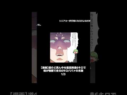 【1/3】道のど真ん中を最高時速6キロで我が物顔で走る6キロババァの末路