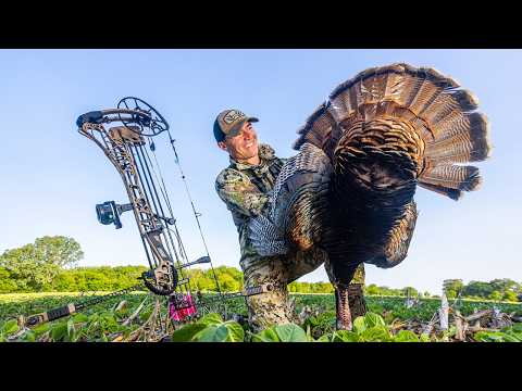 Bowhunting Turkeys (No Blind)