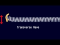 Transverse and Longitudinal Waves