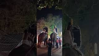 രാവിലെ ഒരു സൈക്കിൾ ചവിട്ടി ഒടിച്ചു... ഇന്ന് അല്പം അകന്നു നിന്നു പൂരം കാണാം #northparavur