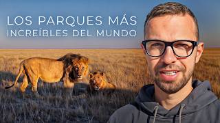 Visité el bosque donde desaparece la gente. Los lugares más insólitos de mis viajes