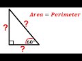 Triangle Area, Perimeter, and Angles