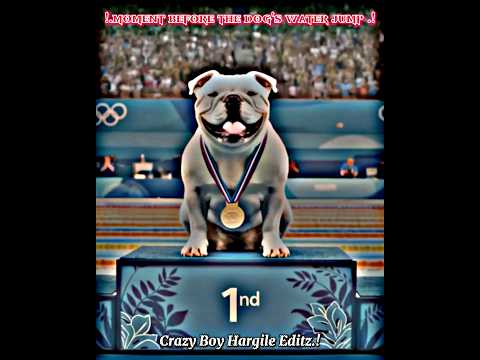 The dog became a great champion😱💀....