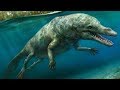 The Evolutionary Journey of Whales and Their Relatives