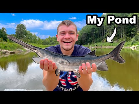 Stocking Rare Paddlefish in My Pond!