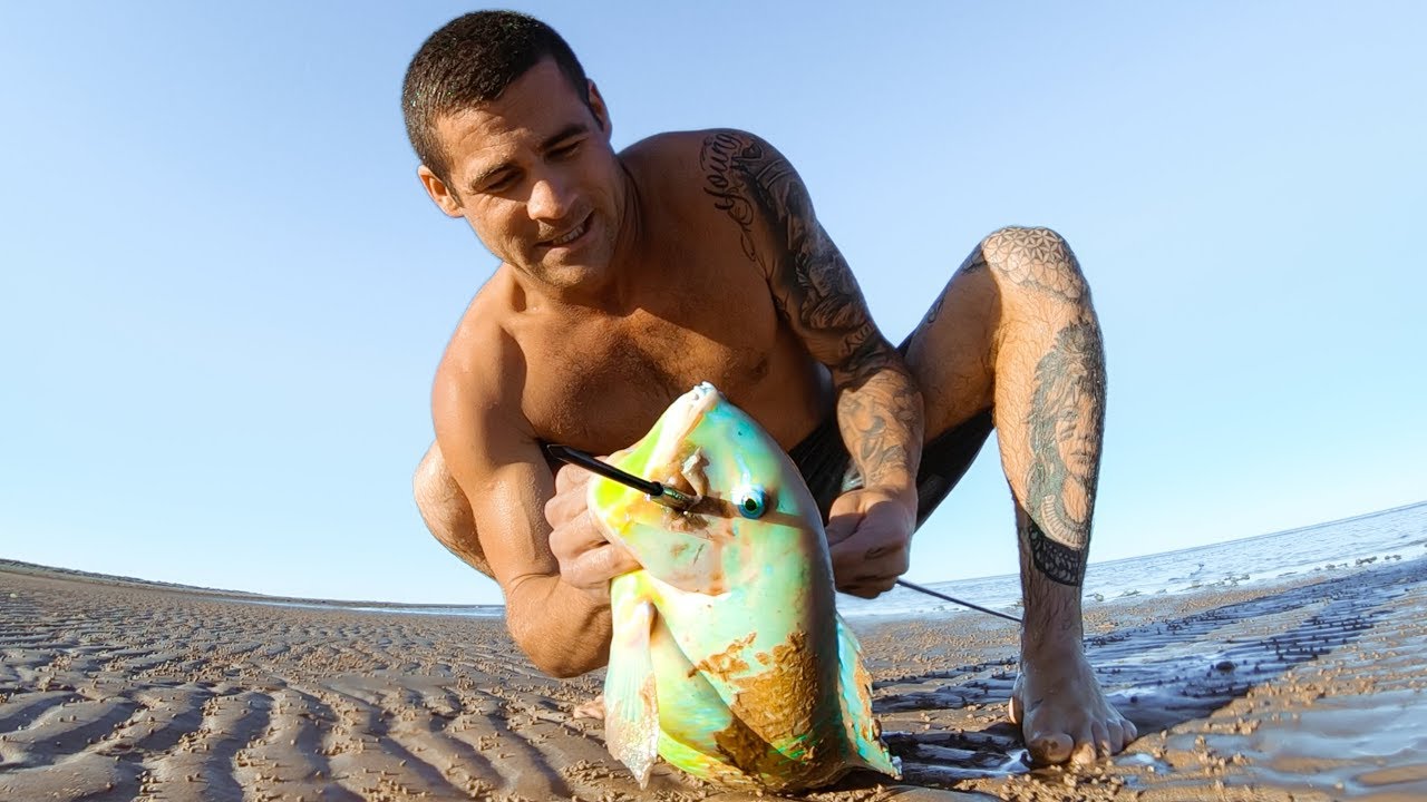 YBS Lifestyle Ep 16 - DRONE SPEARFISHING Spider Wasp Sting Test + Mating Whales?