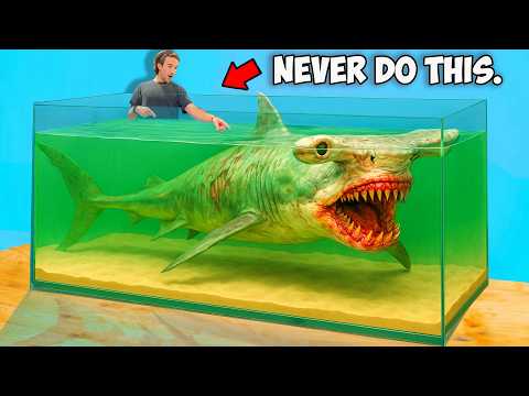 Buying the Scariest Shark I've Ever Owned Off The Web...