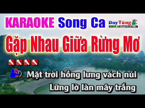 Karaoke || Gặp Nhau Giữa Rừng Mơ – Song Ca || Nhạc Sống Duy Tùng