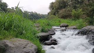 Musik Alam Suara Sungai untuk Menenangkan Diri, Meredakan Stres, Belajar, dan Fokus Kerja #nature
