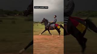 #barora #sidhumoosewala #horse #1million #trendingshorts #shortsfeed #love #duet #farm #pushkar