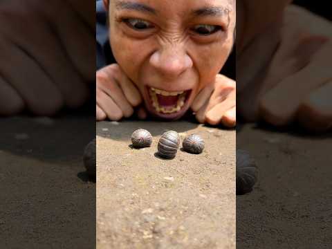 Fluffy american millipede pill #shorts #millipedepill