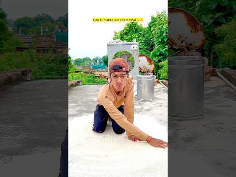 Gau ki makka aur chota bhai 😂🔥|Indian family || #shorts #indian #relatable #piyush #chotabhai