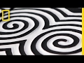 Understanding the Video Tutorial