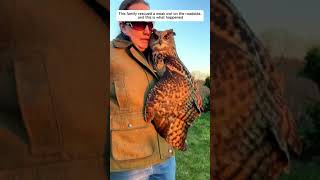 This family rescued a weak owl on the roadside, and then this happened #animalshorts #owl