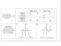 Graphing Polynomials: Key Concepts and Techniques