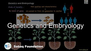 Genetics and Embryology