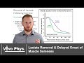Lactate and Muscle Recovery Concepts