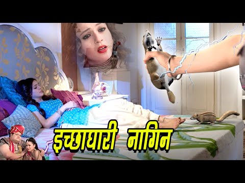 सोई हुई नागिन को डसने आई इच्छाधारी गिलहरी | Ichhadhari Naagin | Nagin Show 2024 @kivitv616