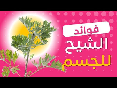 فوائد الشيح العظيمة لجسم أكثر صحة