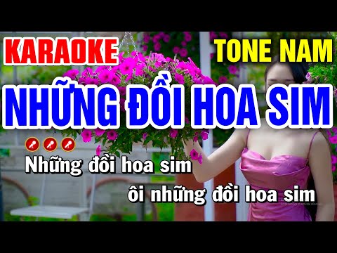 NHỮNG ĐỒI HOA SIM Karaoke Nhạc Sống Tone Nam ( CỰC HAY ) | Bến Tình Karaoke