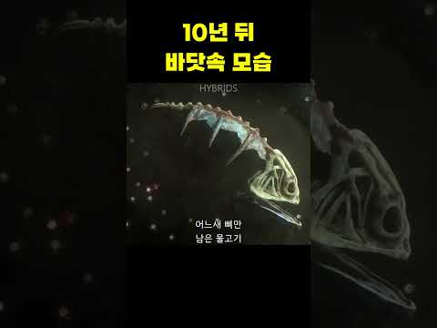 해양 오염으로 인해 변해버린 바다 생물 #shorts #쇼츠 #꿀잼
