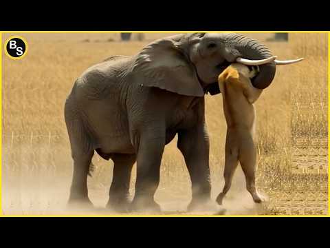 The Most Incredible Wildlife Moments of All Time!