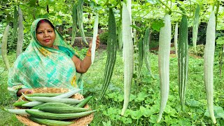 चिचिंडा की कलौंजी वाली सब्ज़ी 🌿 पूर्वज इसे खाकर रहते थे स्वस्थ | Chichinda Snake Gourd Recipe