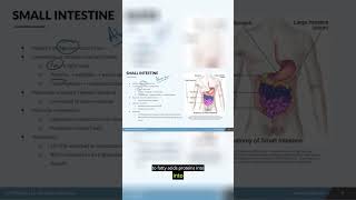 NCLEX Prep - Digestion part 5